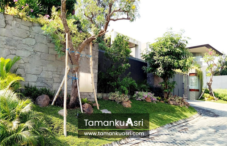 tukang-taman-ciomas