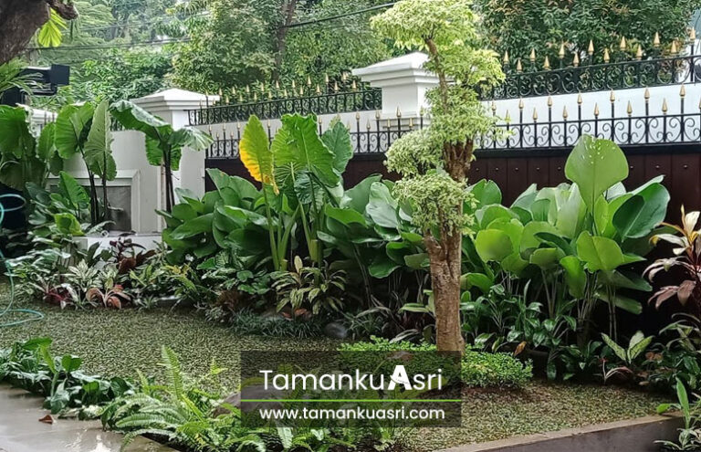 tukang-taman-pondok-gede