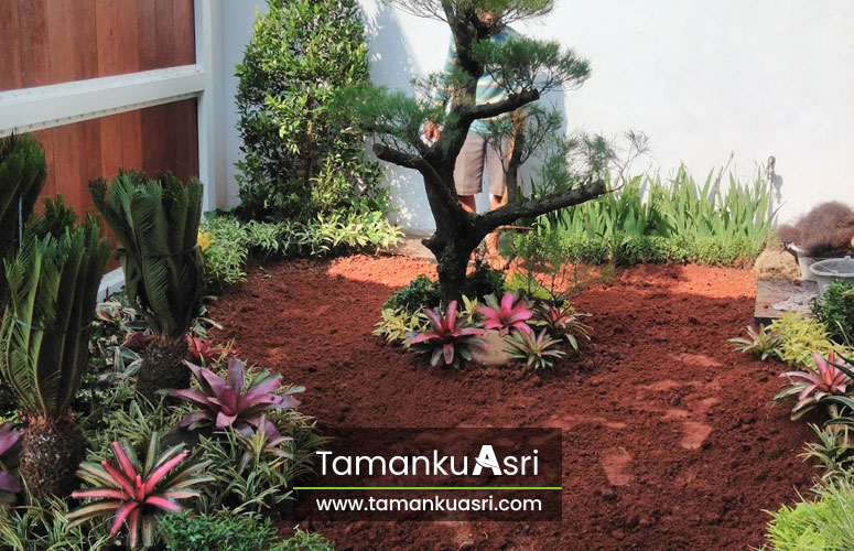 tukang-taman-ciruas