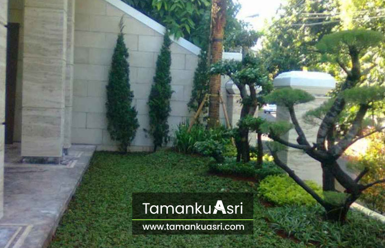 tukang-taman-kresek
