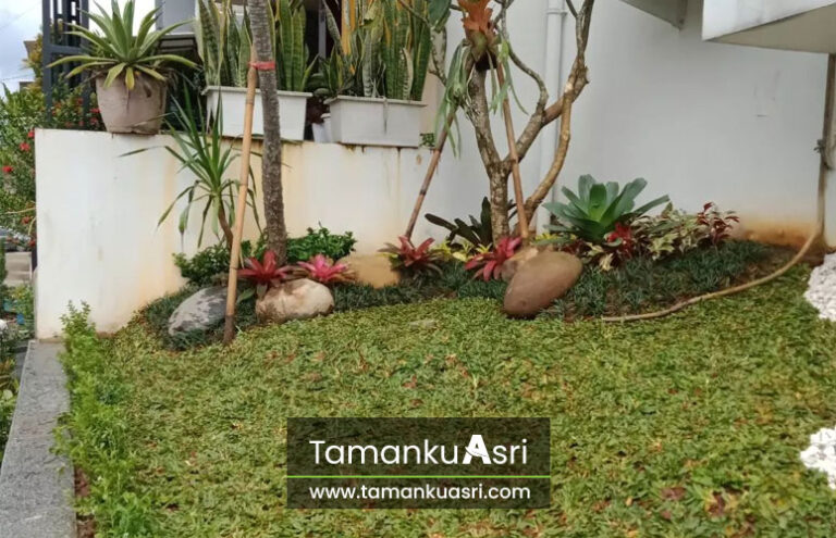 tukang-taman-pondok-aren