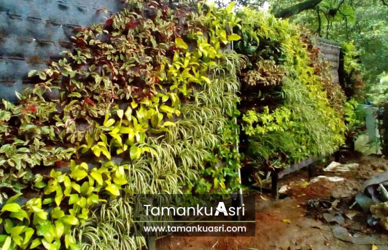 Jasa Vertical Garden Ciracas