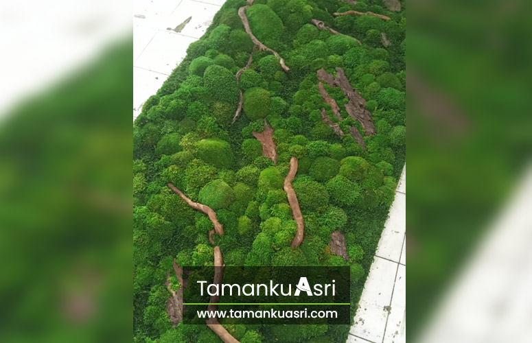 Jasa Pembuatan Moss Wall Pluit